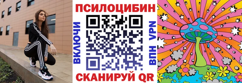 Псилоцибиновые грибы мицелий  где можно купить наркотик  Сосногорск 